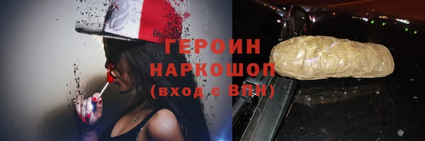 прущие грибы Корсаков